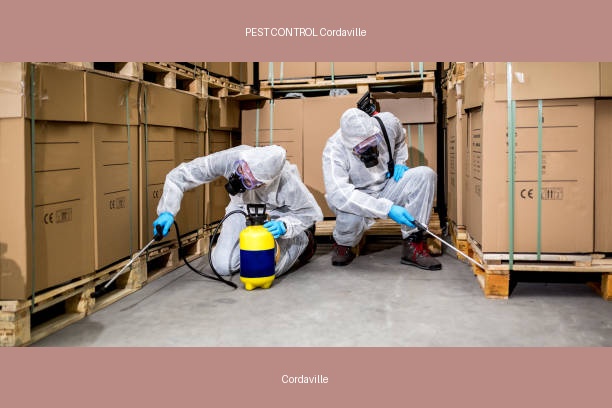 PEST CONTROL Cordaville